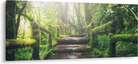 Tablou - trepte din lemn în pădure (120x50 cm)