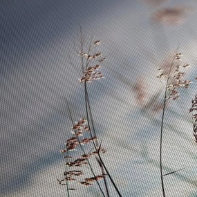 Tablou -Flori de luncă (cu ceas) (90x30 cm)