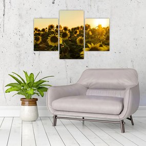 Tablou cu lan de floarea soarelui (90x60 cm)