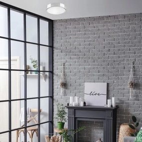 Plafonieră JONAS 1xE27/60W/230V d. 26 cm crom lucios