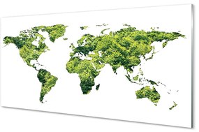 Tablouri acrilice Harta de iarbă verde