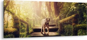 Tablou cu tigrul în djunglă (120x50 cm)