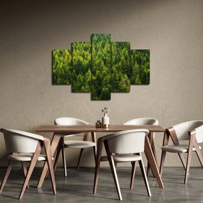 Tablou - Pădure deasă (150x105 cm)