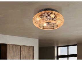 Plafonieră maro cu control prin telecomandă, cu ventilator Lillesand – Trio