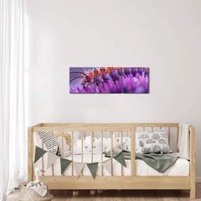 Tablou - Caterpillar (cu ceas) (90x30 cm)