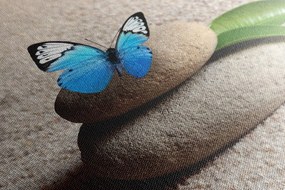 Tablou fluture albastru pe piatră Zen