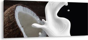 Tablou - laptele de cocos (120x50 cm)