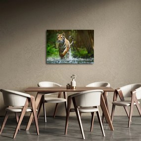 Tablou cu trigrul fugind (70x50 cm)