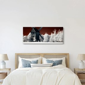 Tablou cu moară (120x50 cm)