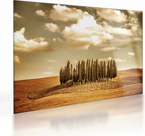Tablou pe sticlă cu luncă (70x50 cm)