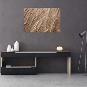 Tablou - Câmpul de aur (90x60 cm)