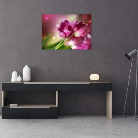 Tablou pe sticlă cu lalele roz (70x50 cm)