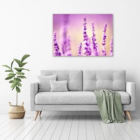 Print pe canvas Lavandă