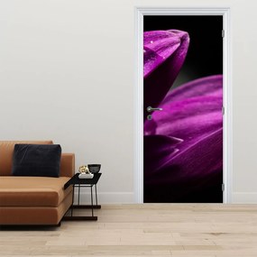 Fototapet pentru ușă - Picătură de apă (95x205cm)