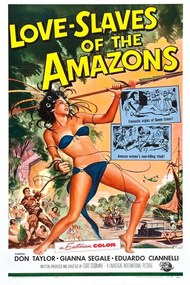 Ilustrație Love Slaves Of Amazons