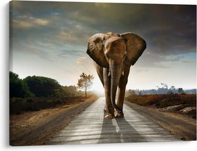 Tablou cu elefant (70x50 cm)