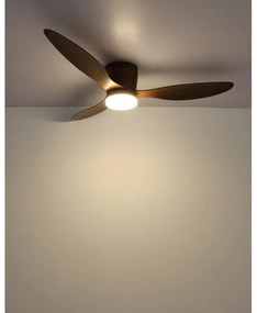 Globo 03666H - Ventilator plafon LED ARMANDO 20W 230V 3000-6500K + DO