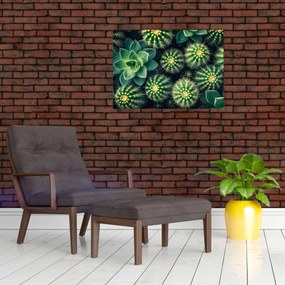 Tablou pe sticlă - Cactuși (70x50 cm)