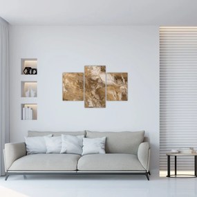 Tablou - Abstract maro (90x60 cm)