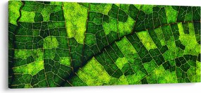 Tablou - Detaliu frunze (120x50 cm)