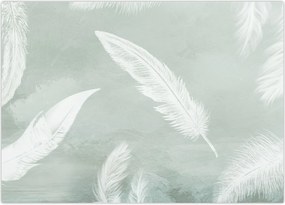 Tablou - Pene albe (70x50 cm)