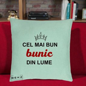 Cadou pentru Bunic - Perna Personalizata Cel Mai Bun Bunic Din Lume Coroana Rosu, 40x40 cm, Verde Menta, Husa Detasabila, Perna Inclusa, BEKZ®