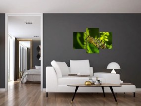 Tablou cu omide (90x60 cm)