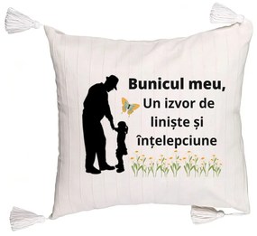 Perna Decorativa cu Franjuri pentru Bunicul 5, 45x45 cm, Cu fermoar