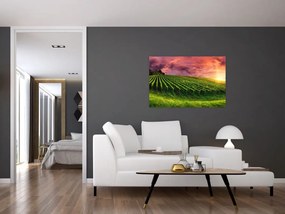 Tablou cu vie cu cerul color (90x60 cm)