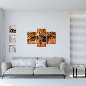 Tablou cu zebre (90x60 cm)