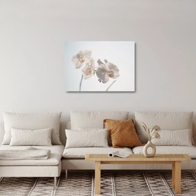 Tablou pe sticlă cu orhidee albă (70x50 cm)