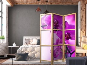 Paravan japonez - Violet Orchids I