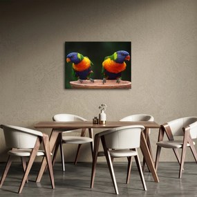 Tablou cu papagali (70x50 cm)