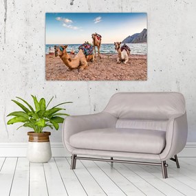 Tablou cu cămile (90x60 cm)