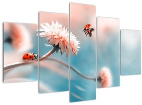 Tablou - Buburuze pe floare (150x105 cm)