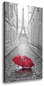Pictură pe pânză Umbrelă Franța
