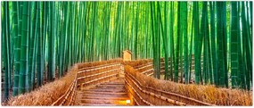 Tablou - Pădure de bambus japoneză (120x50 cm)