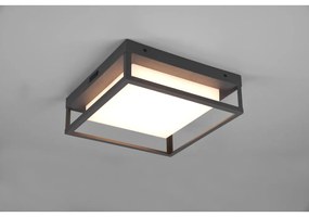 Corp de iluminat pentru exterior LED de perete (înălțime 10 cm) Witham – Trio