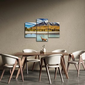 Tablou - Parcul Național Torres del Paine (90x60 cm)