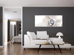 Tablou - Pisica cu ochi albaștri (120x50 cm)