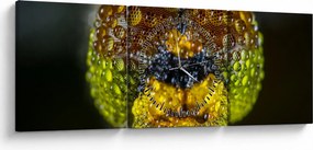 Tablou detailat cu ochii de omidă (cu ceas) (90x30 cm)