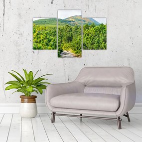 Tablou - Babi Hora, Polonia (90x60 cm)