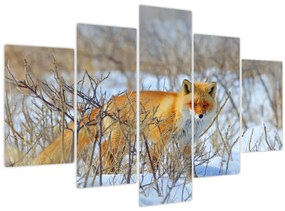 Tablou - Vulpe (150x105 cm)