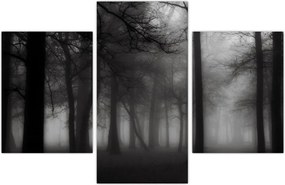 Tablou - Pădure în ceață (90x60 cm)