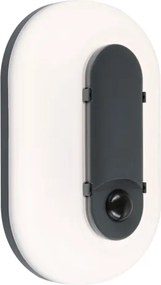 Paulmann 94958 - LED/18,5W IP65 Aplică de perete pentru exterior reglabilă ELUNOR 230V