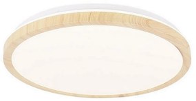 Plafonieră LED GANDAVA LED/24W/230V