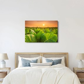 Tablou - Câmp (90x60 cm)