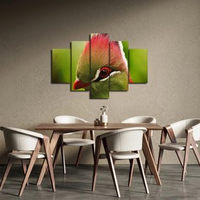 Tablou cu pasărea colorată (150x105 cm)