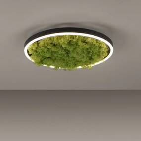 Plafonieră LED dimabilă JUST LIGHT. 15391-66 GREEN RITU LED/20W/230V