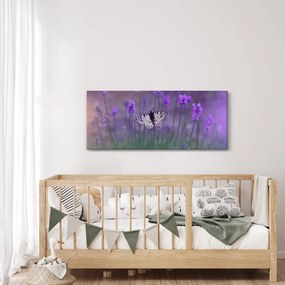 Tablou - fluture în lavandă (120x50 cm)